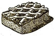 Kakaós linzerszeletek