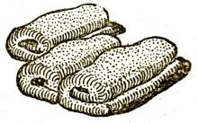 Leveles túróstekercs