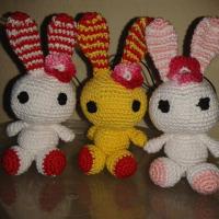 csíkos fülű nyulak