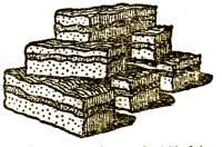 „Mindenki szereti”